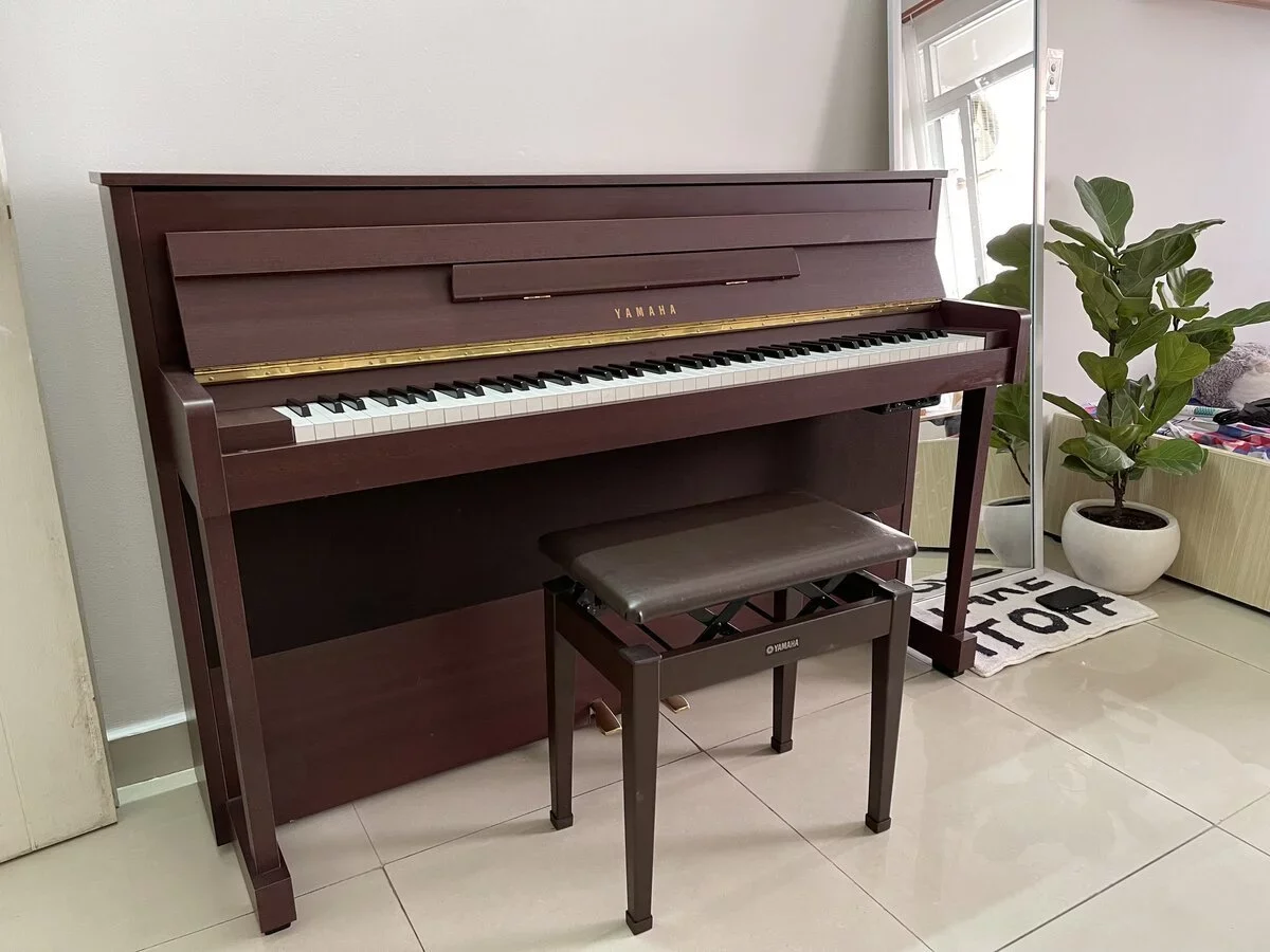 Reviews YAMAHA DUP-5