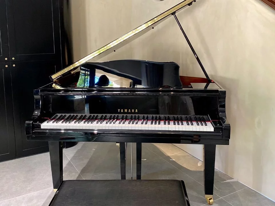 YAMAHA GB1K PE - Chi tiết 1