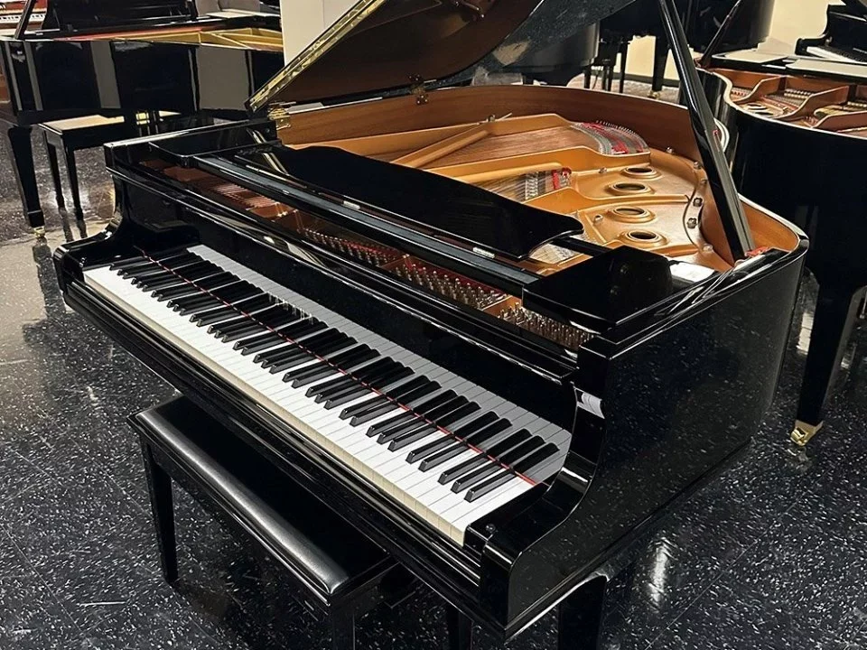 YAMAHA GC1 PE - Chi tiết 1