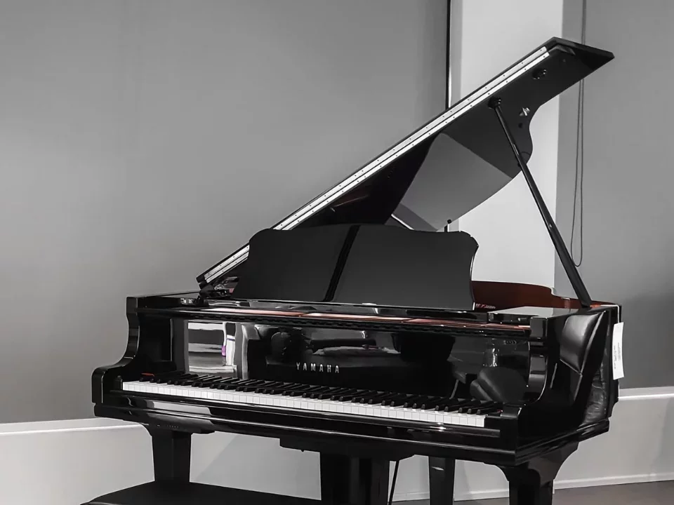 Reviews YAMAHA GC2 PE