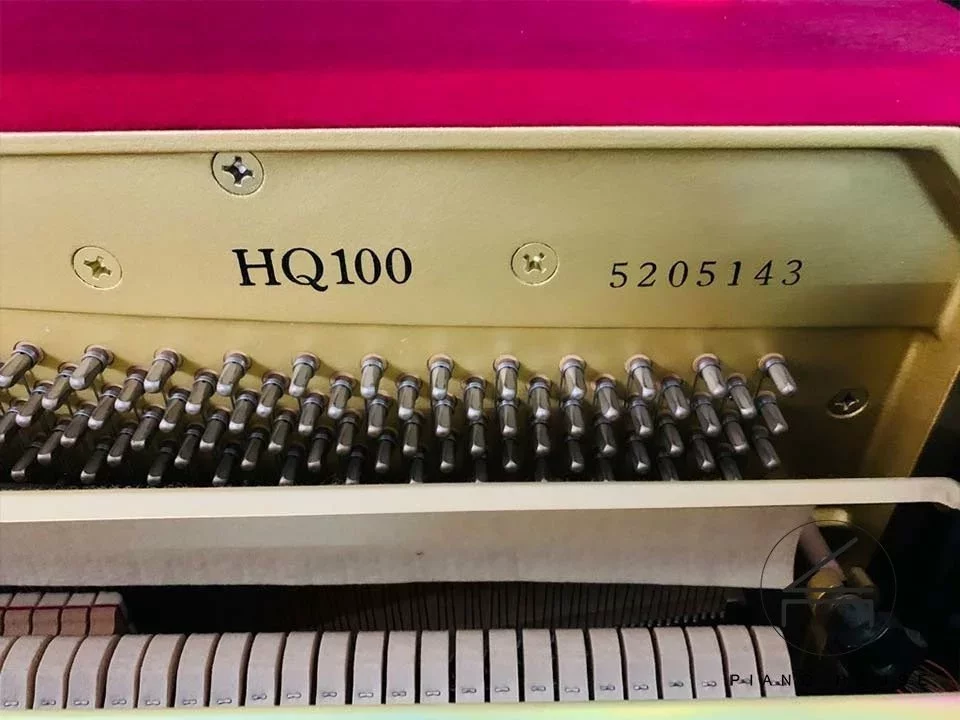 YAMAHA HQ90 SXG - Chi tiết 1