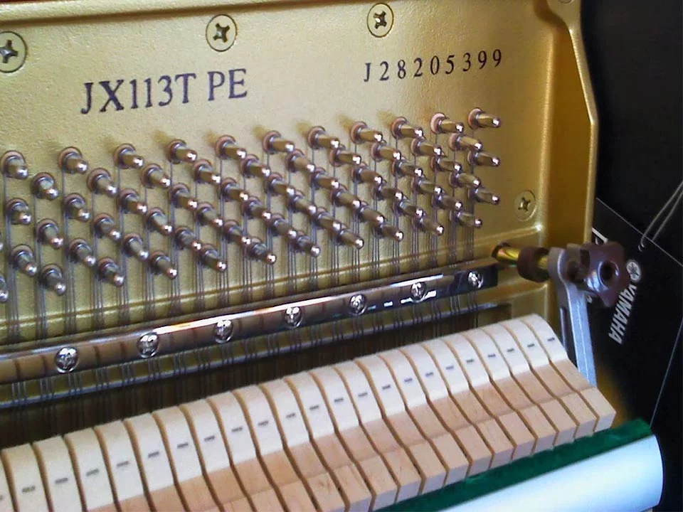 YAMAHA JX113T SC2 - Chi tiết 2