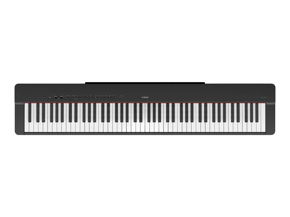 YAMAHA P-223 - Chi tiết 1