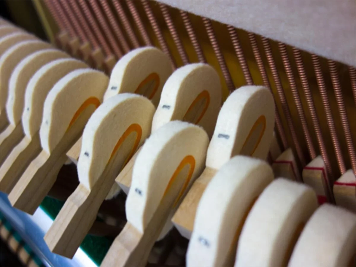 Reviews YAMAHA SX100 WnC