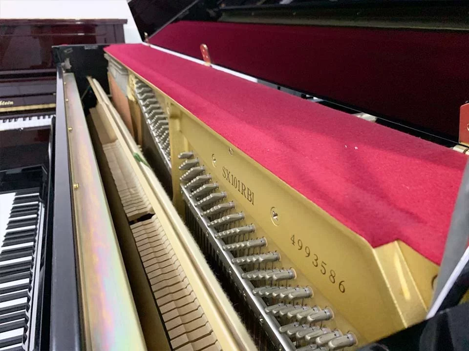 YAMAHA SX101RBL - Chi tiết 2