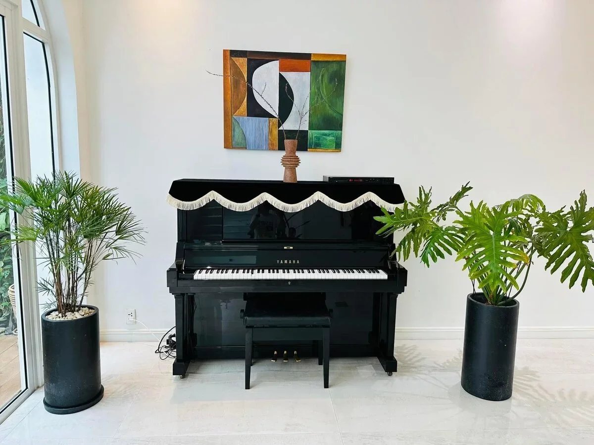 YAMAHA UX30BL - Chi tiết 1