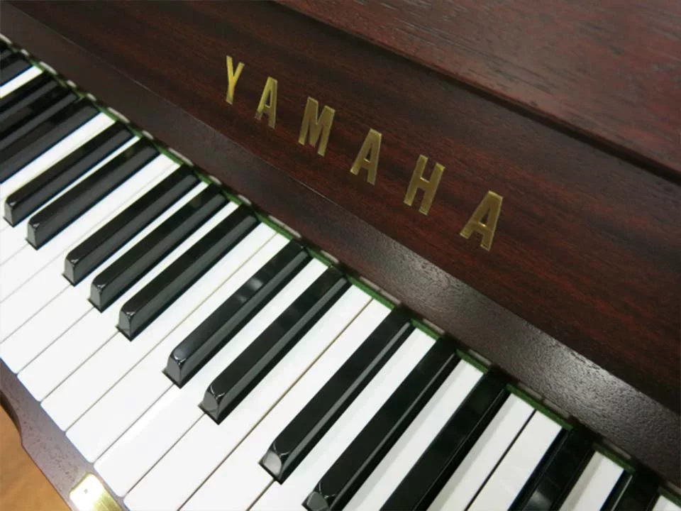 YAMAHA W120BS - Chi tiết 2