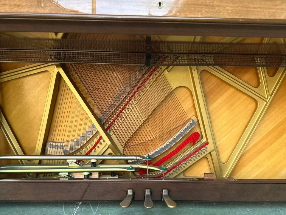 YAMAHA W202 Wn - Chi tiết 2