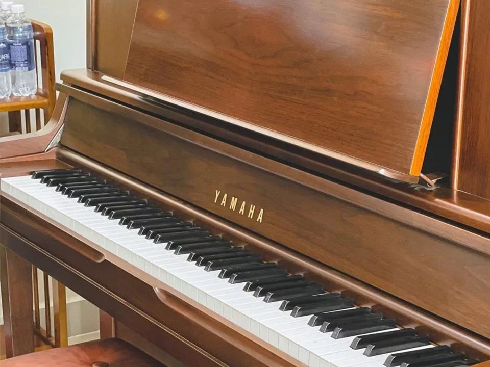 YAMAHA WX1A Wn - Chi tiết 2