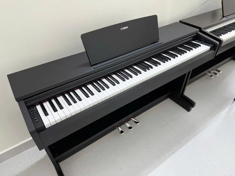 Reviews YAMAHA YDP-142