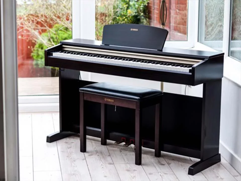 Reviews YAMAHA YDP-151