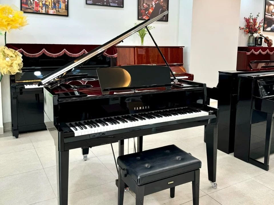 AVANT GRAND N3X (USED)