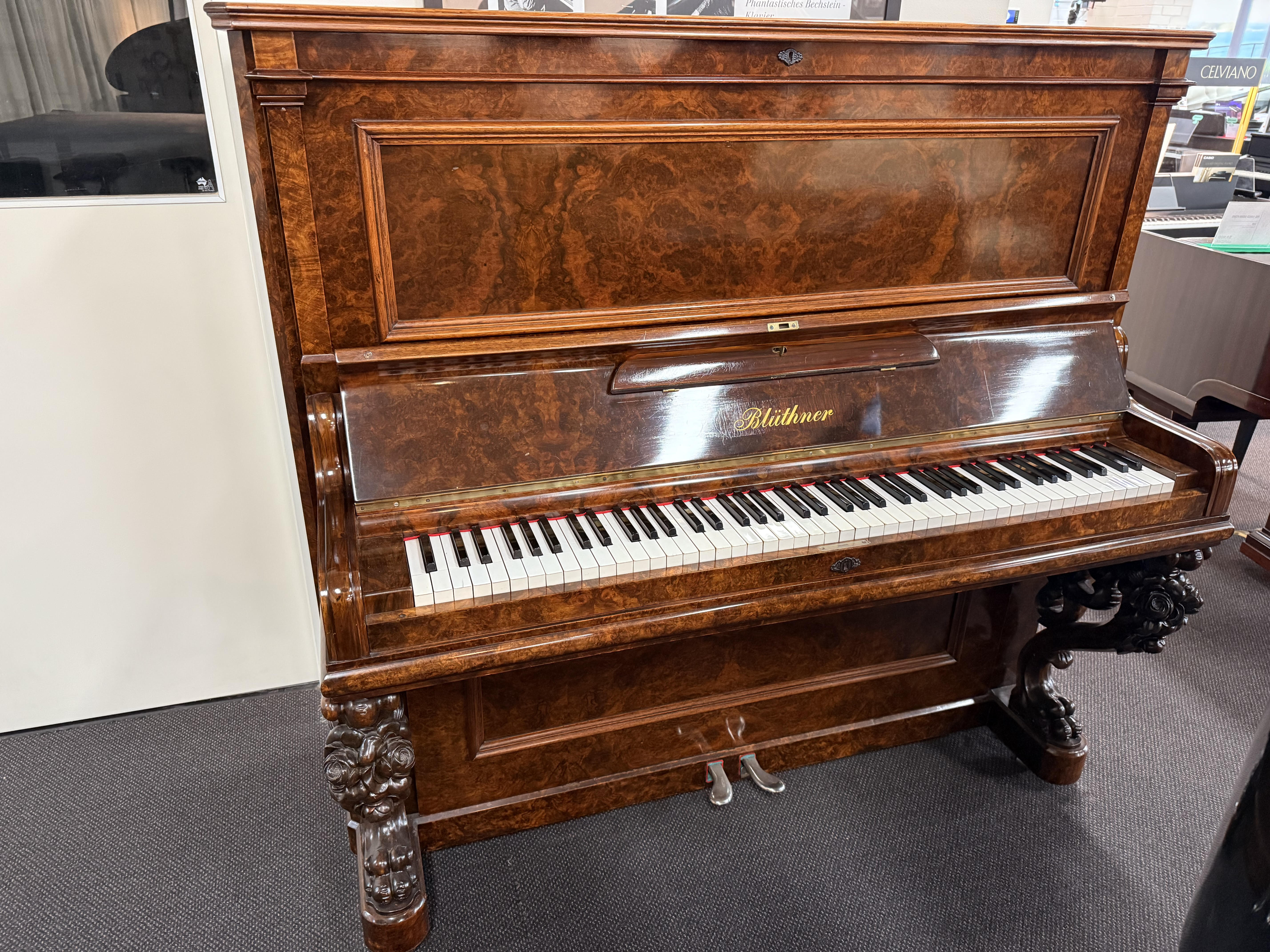 Các Dòng Sản Phẩm Nổi Bật Của Blüthner