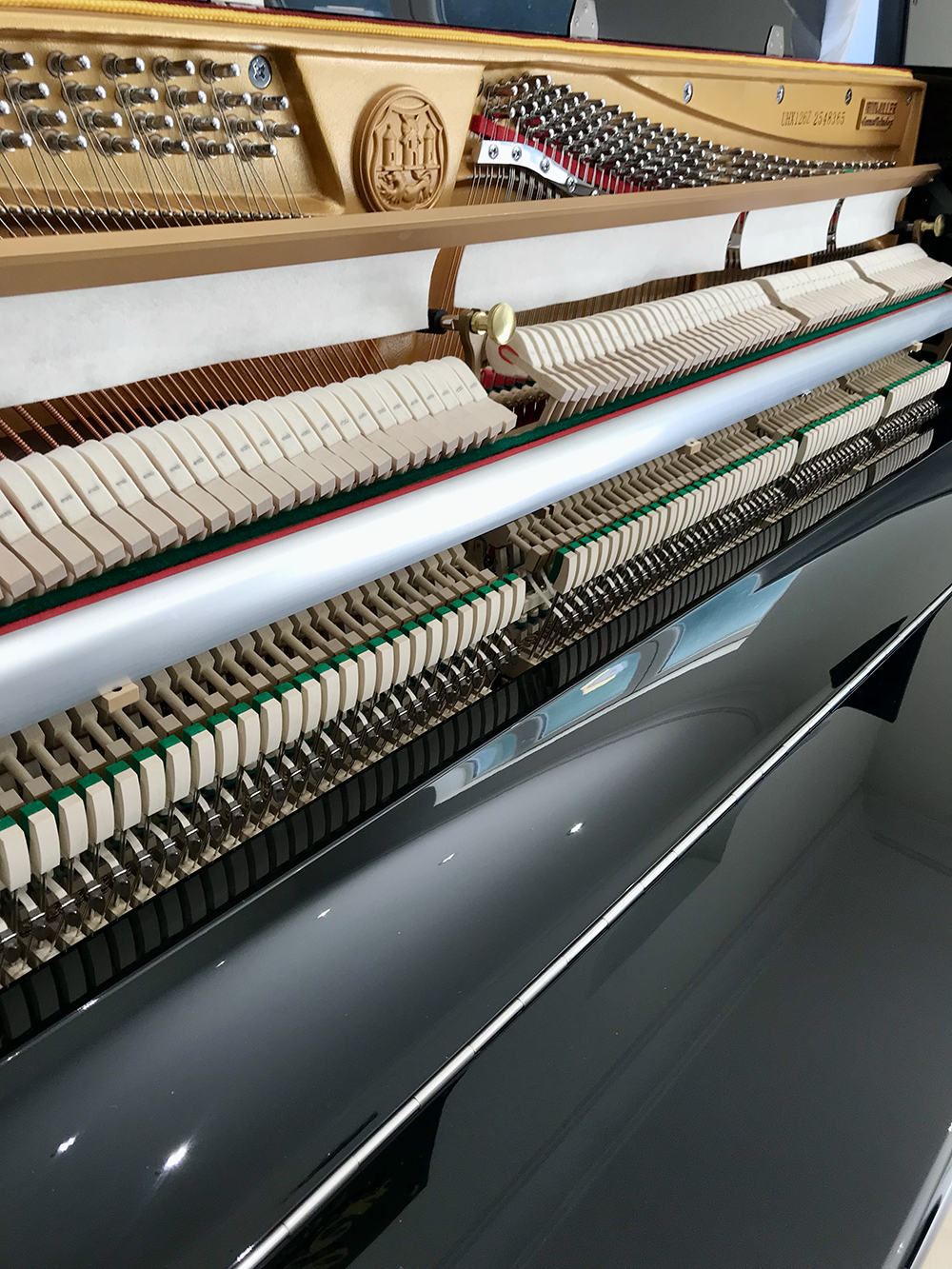 Ritmüller - Thương Hiệu Piano Đẳng Cấp Thế Giới