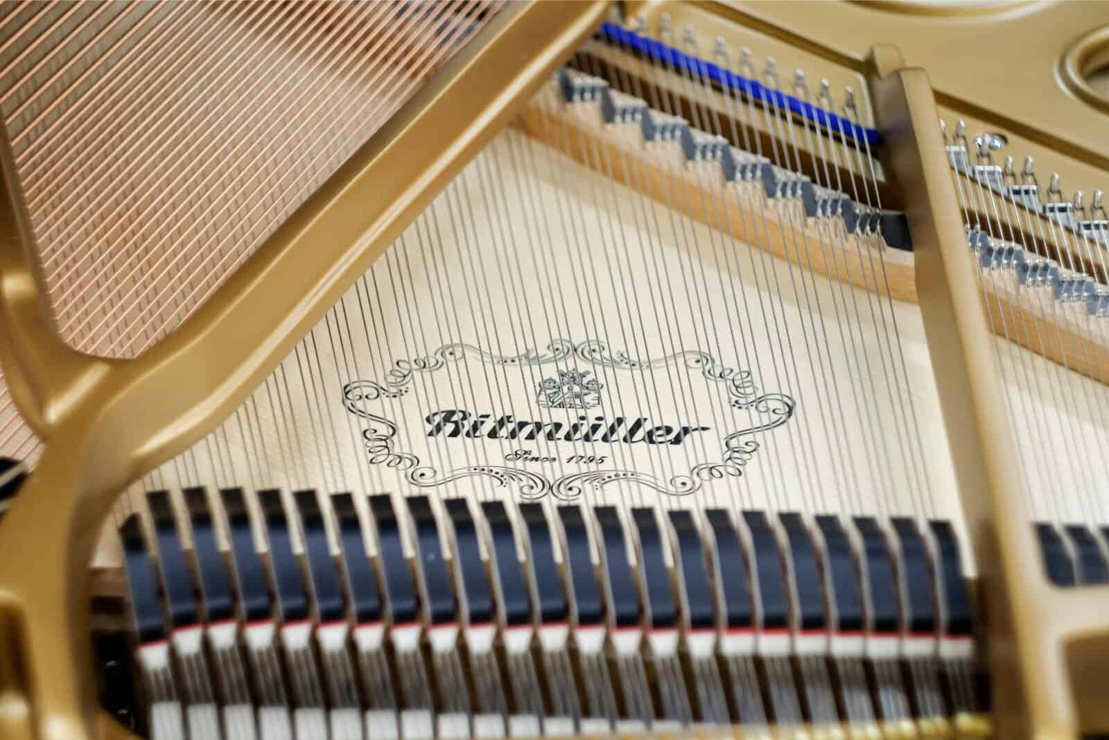 Hướng Dẫn Chọn Mua Piano Ritmüller Phù Hợp