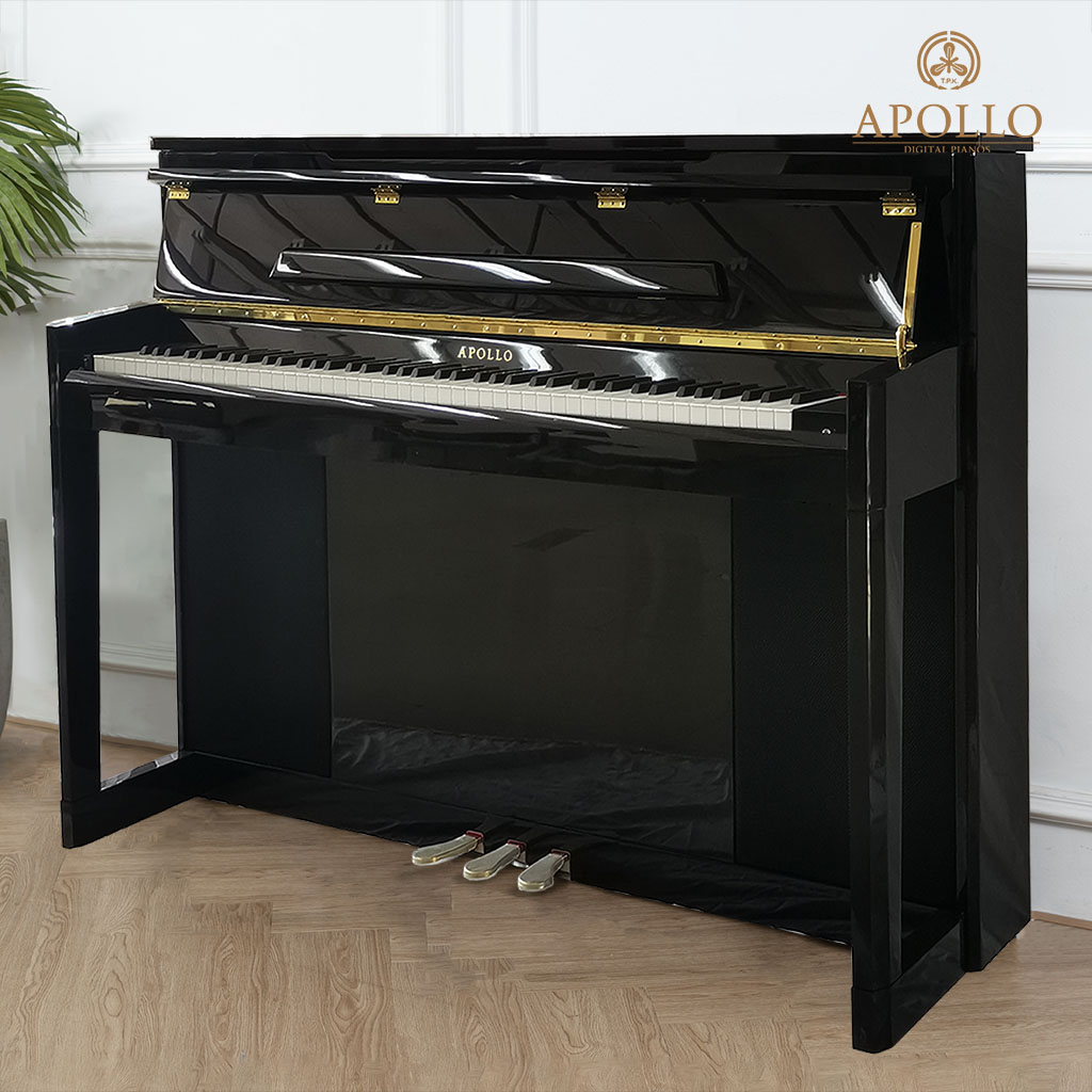 Hướng Dẫn Chọn Mua Piano Apollo Phù Hợp