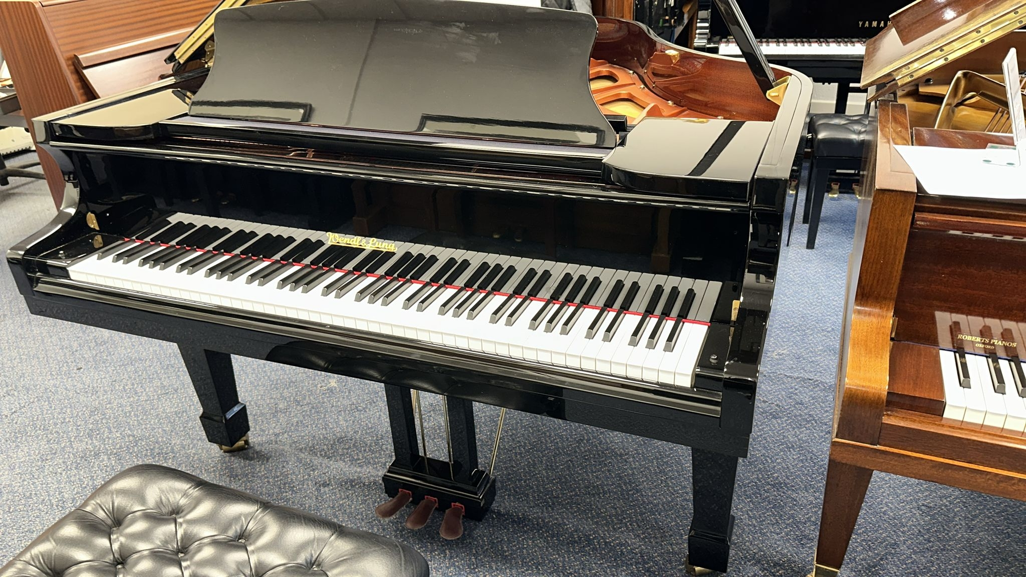 Các Dòng Sản Phẩm Nổi Bật Của Wendl & Lung