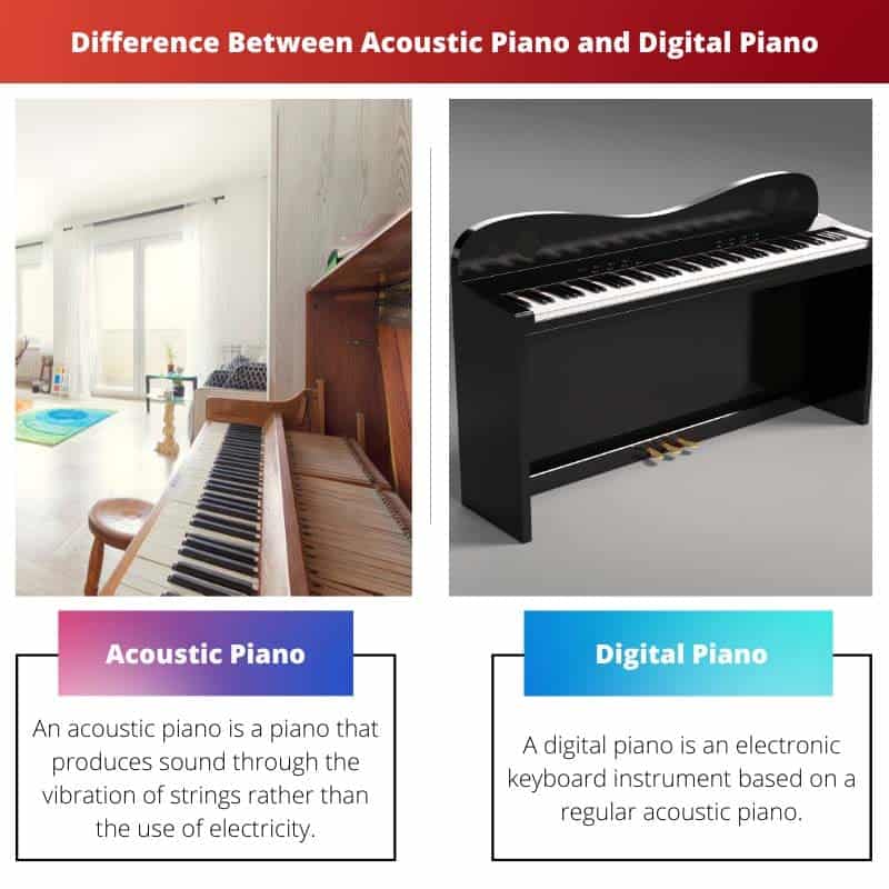 Các Loại Piano Điện Phổ Biến: Portable, Console Và Stage Piano