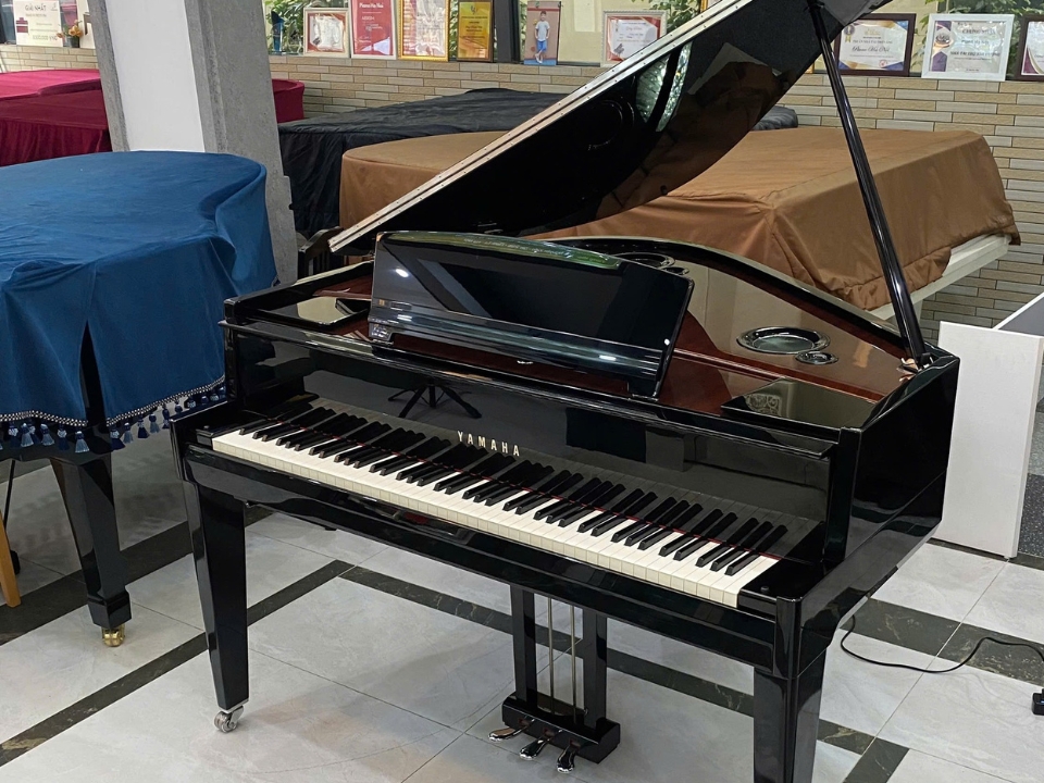 AVANT GRAND N3X (USED)