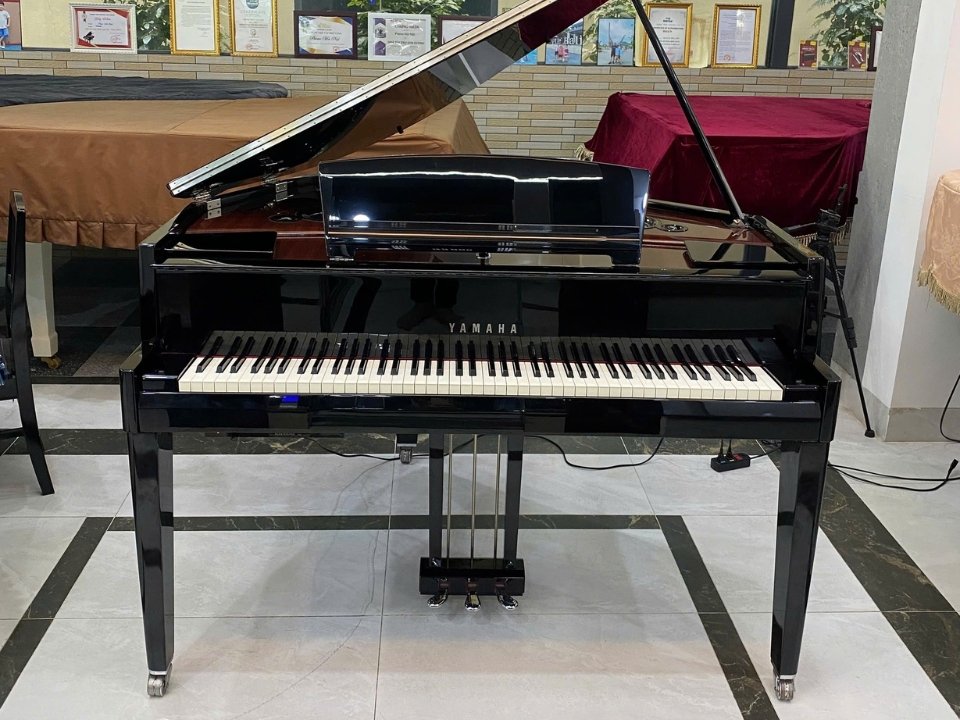 AVANT GRAND N3X (USED)