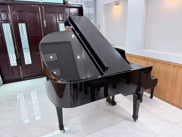 Ritmuller GP160R1 PE (USED)