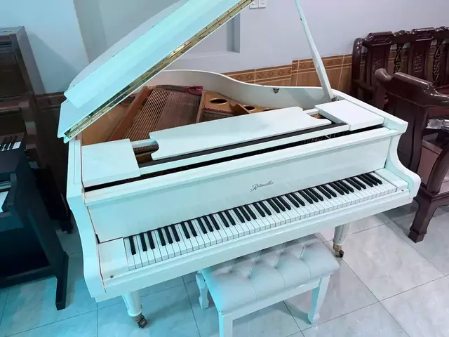 Ritmuller GP160R PW (USED)