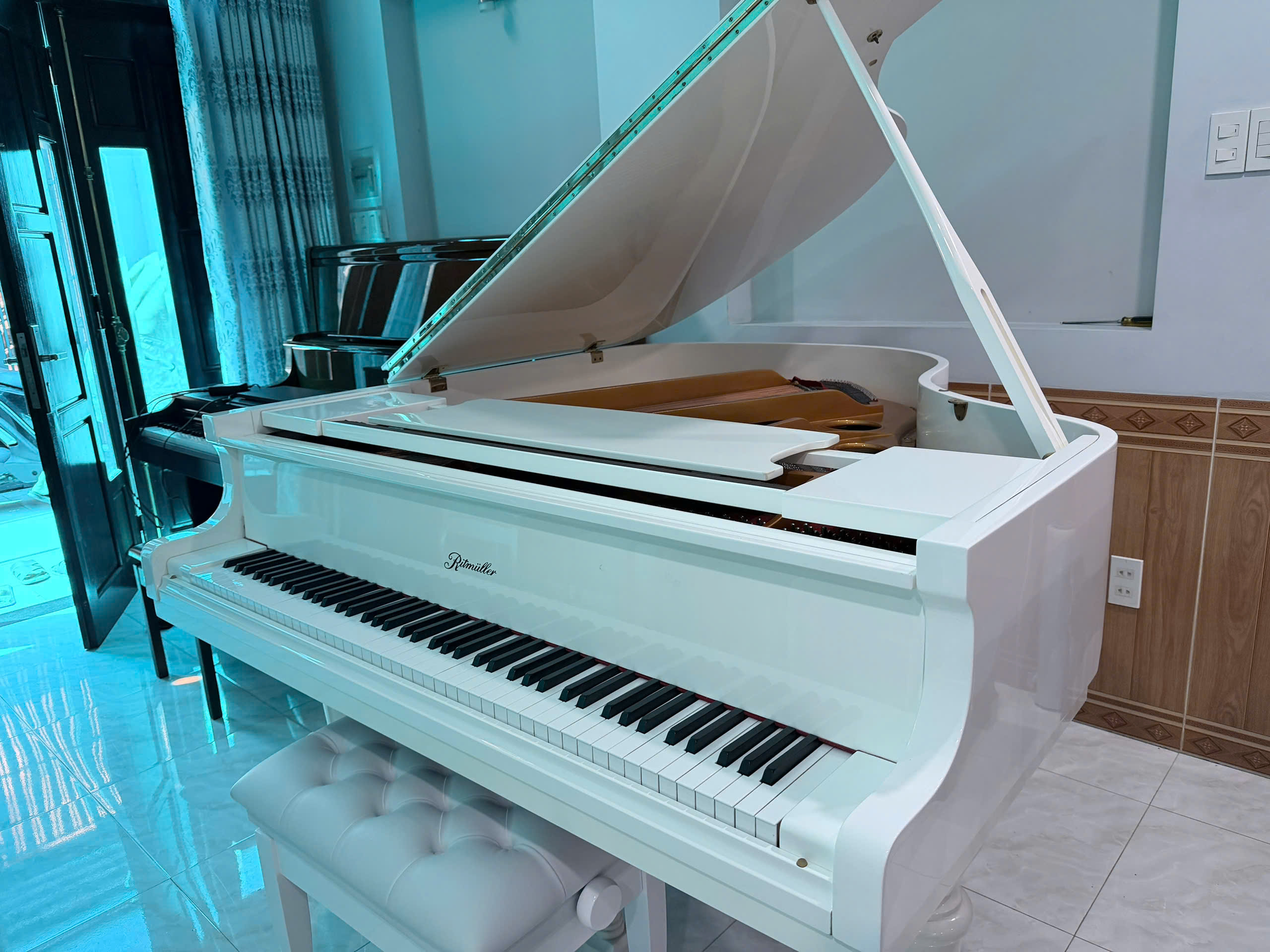 Ritmuller GP160R PW (USED)