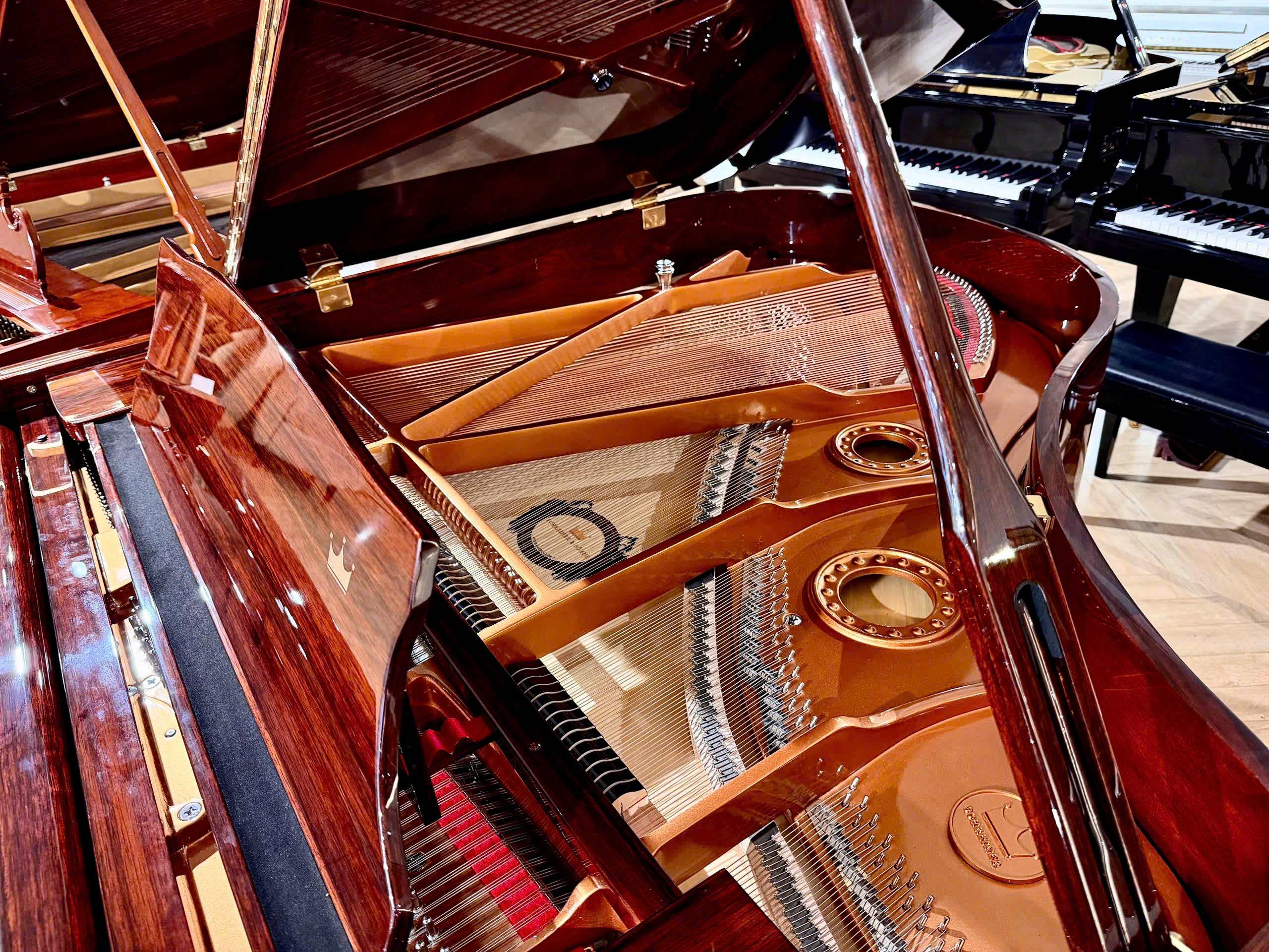 Schreiner & Söhne GP-170 (Macassar Ebony)