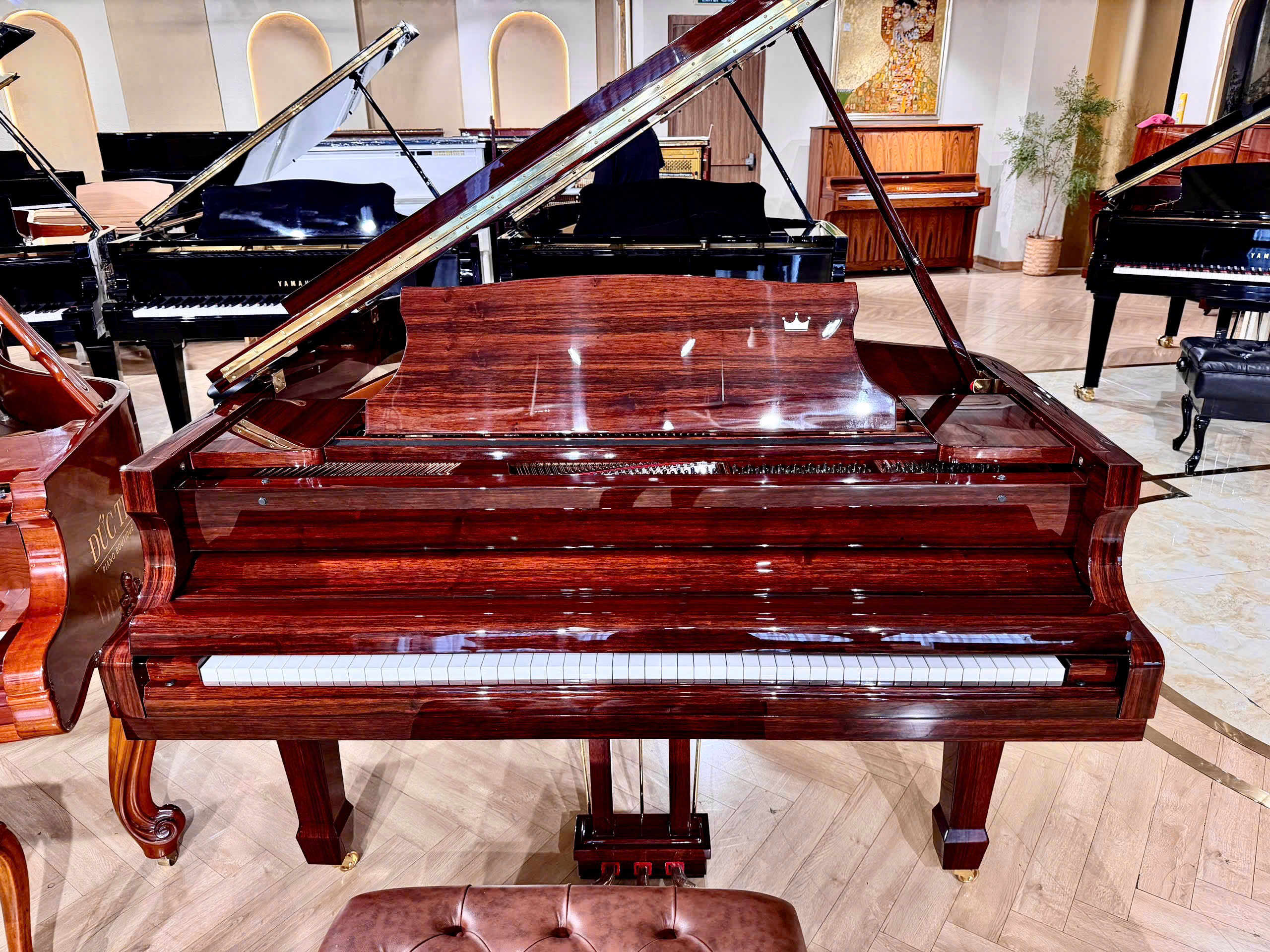 Schreiner & Söhne GP-170 (Macassar Ebony)