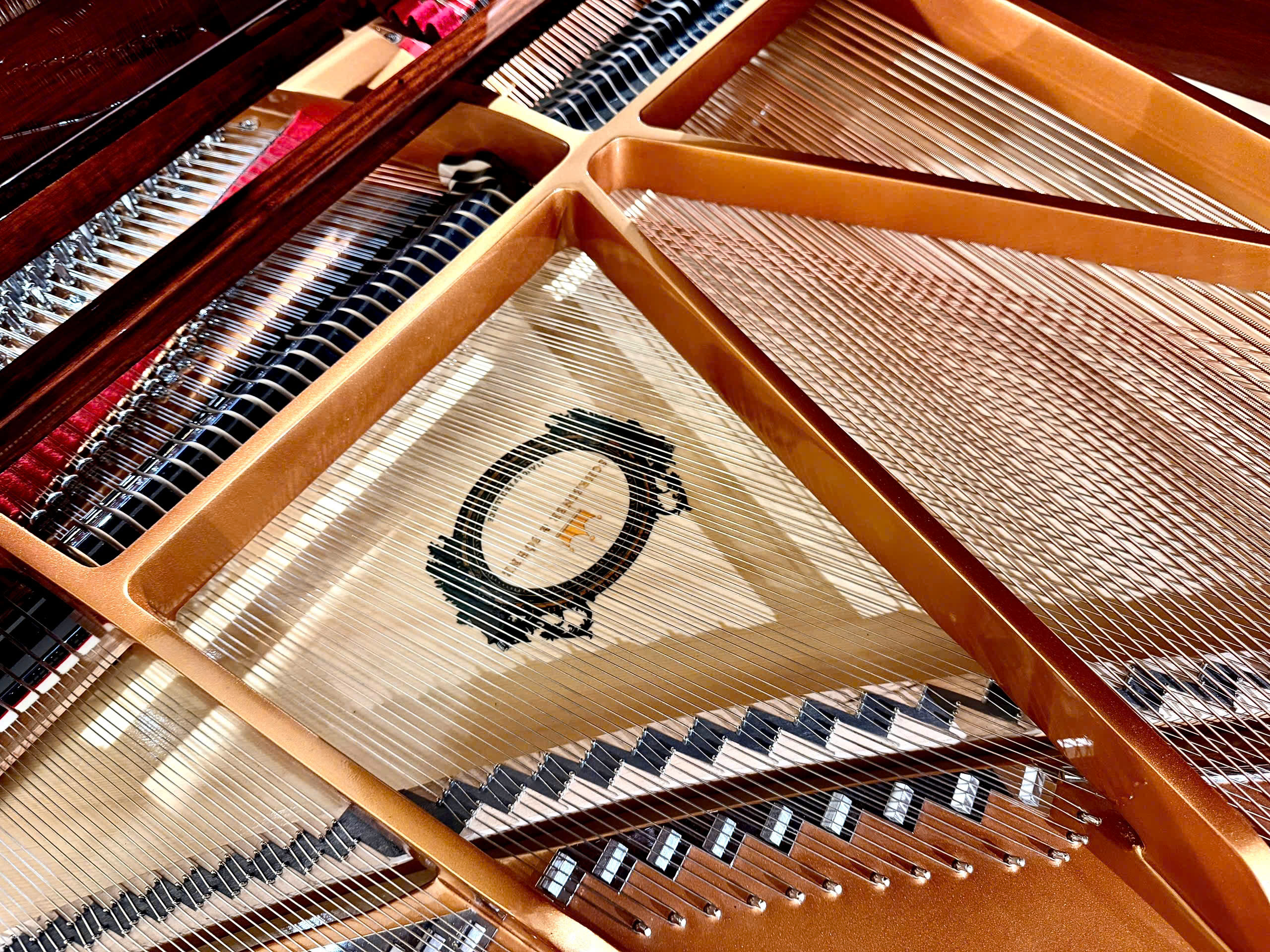 Schreiner & Söhne GP-170 (Macassar Ebony)