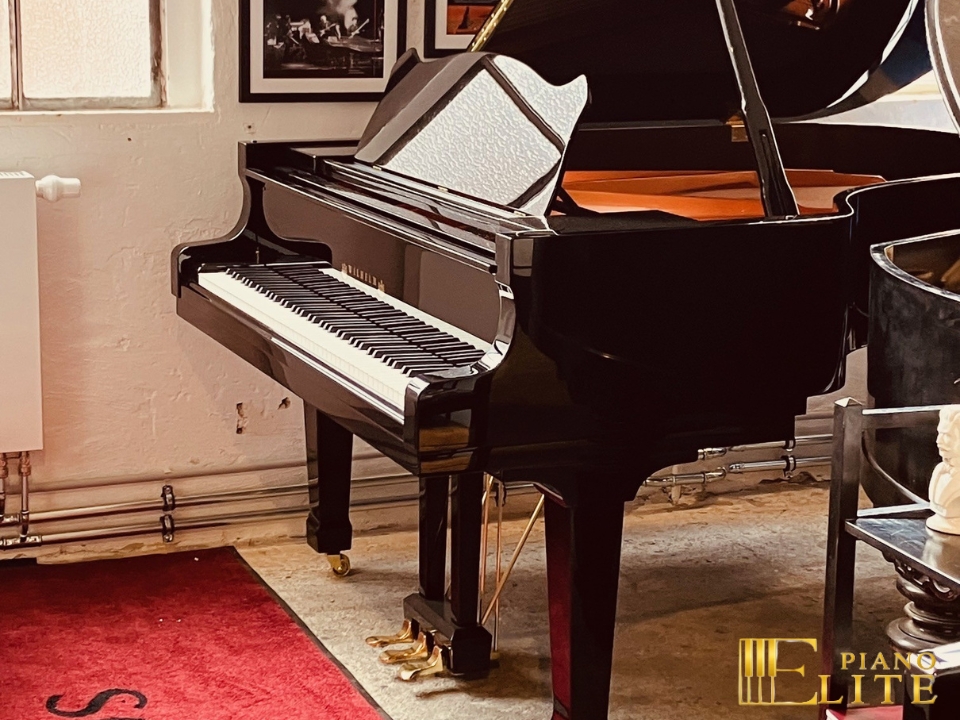 Wilhelm Schimmel W180 Tradition (Ebony High Gloss)