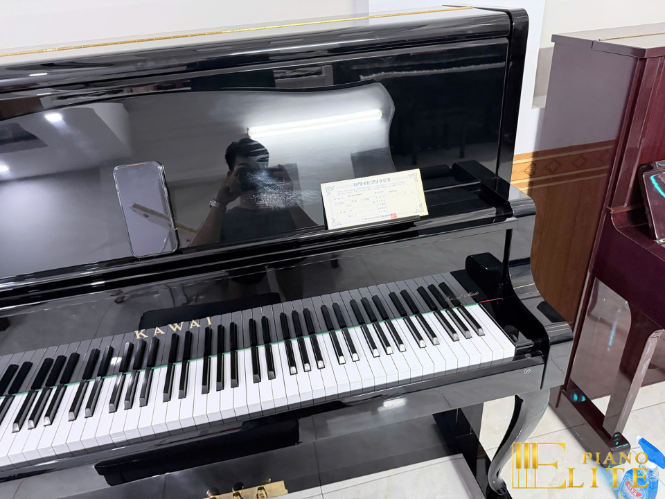 KAWAI DS-80