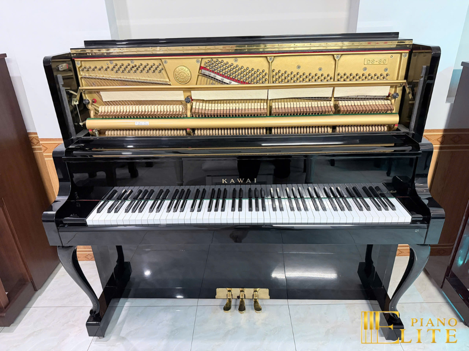 KAWAI DS-80
