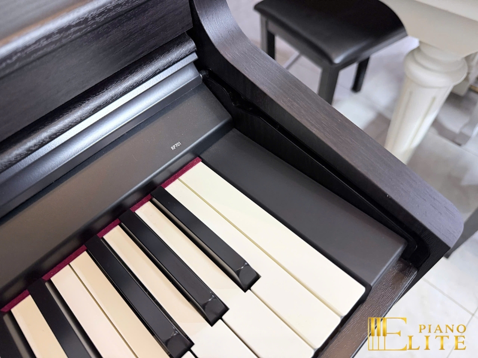 ROLAND RP-701 DR (Used)