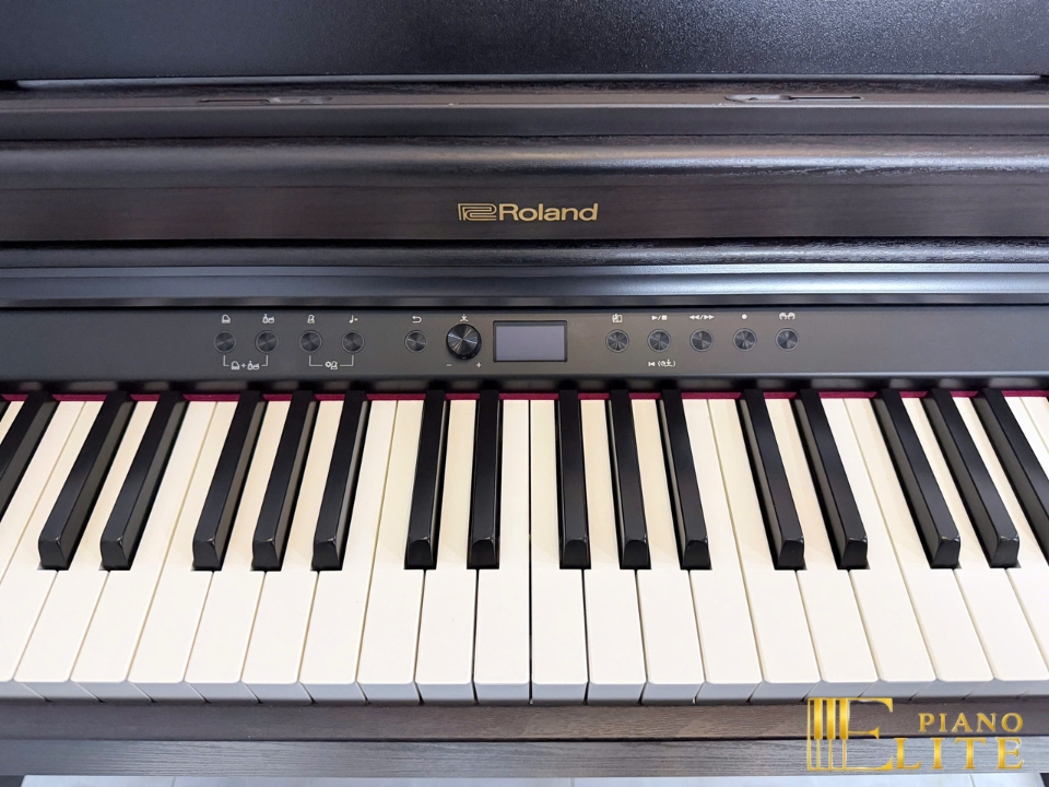 ROLAND RP-701 DR (Used)