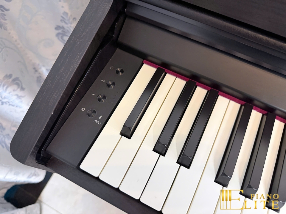 ROLAND RP-701 DR (Used)