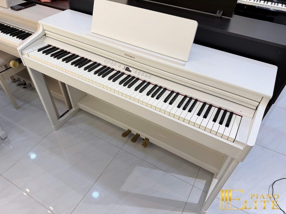 ROLAND RP-701 WH (Used)