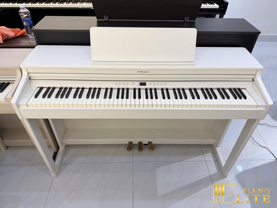 ROLAND RP-701 WH (Used)