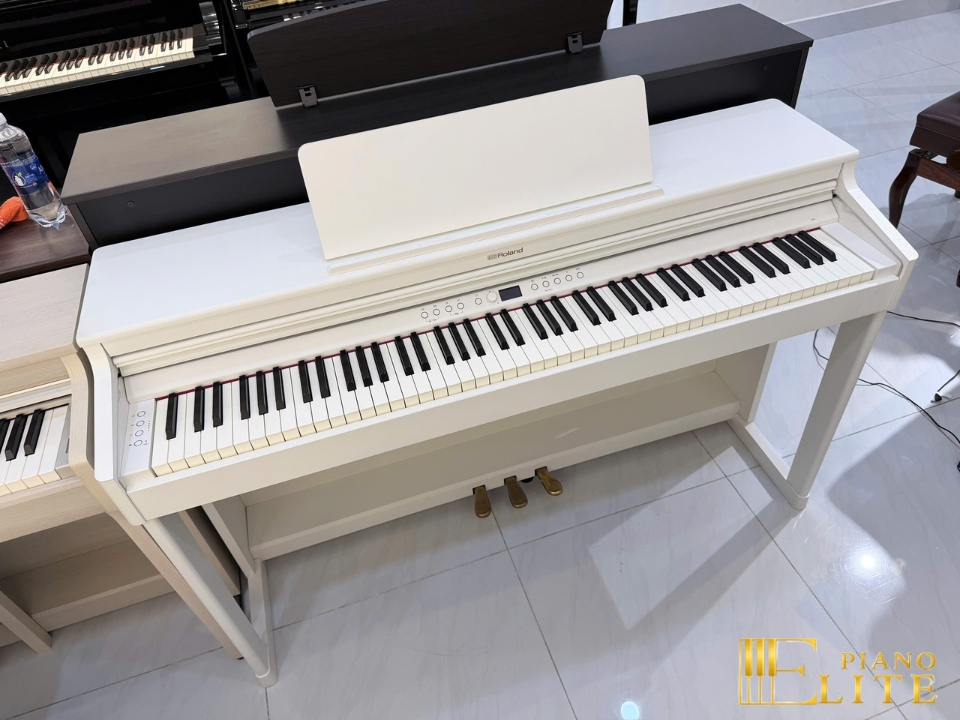 ROLAND RP-701 WH (Used)