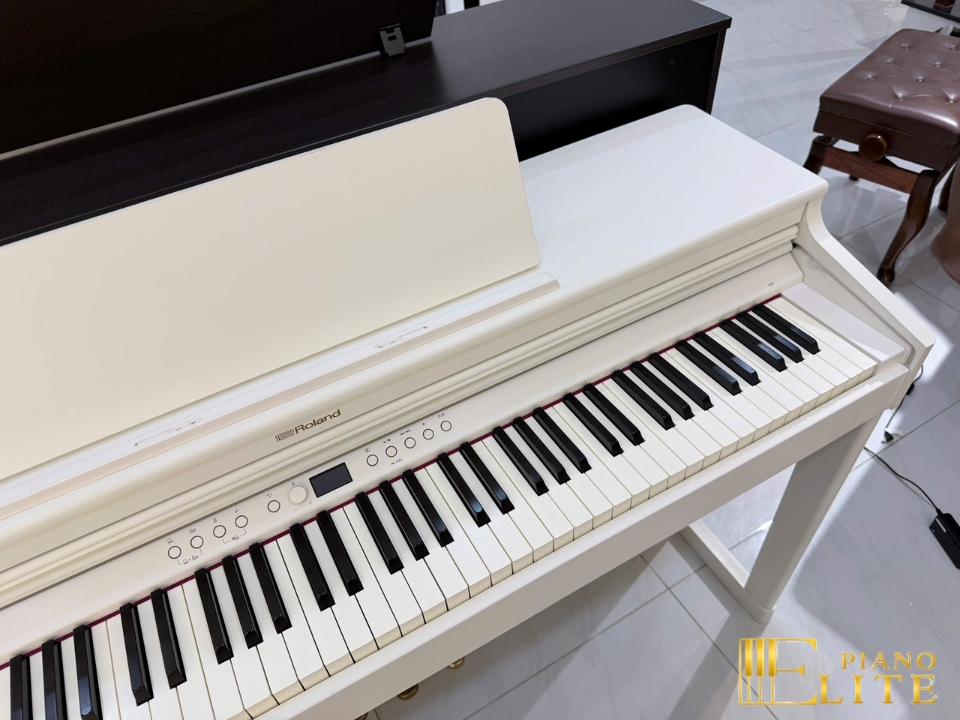 ROLAND RP-701 WH (Used)