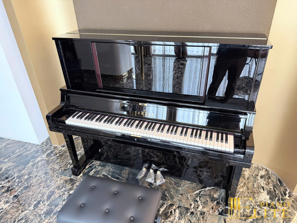 YAMAHA YUS5 PE (new)