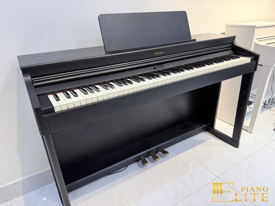 ROLAND RP-701 CB (USED)