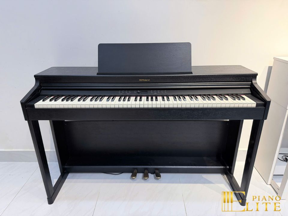 ROLAND RP-701 CB (USED)