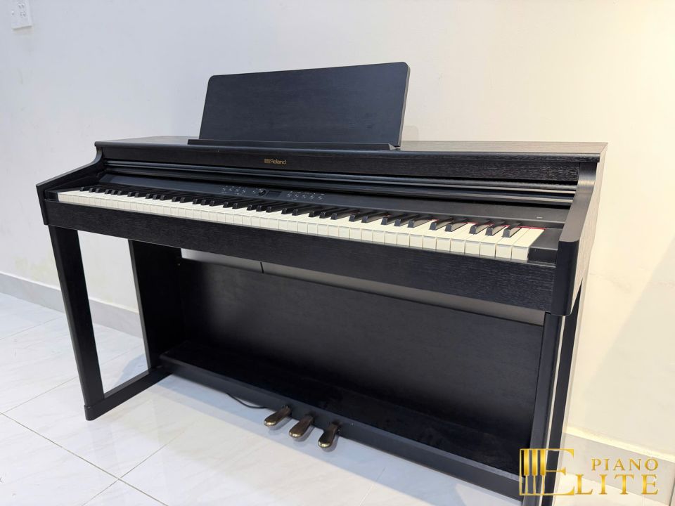 ROLAND RP-701 CB (USED)