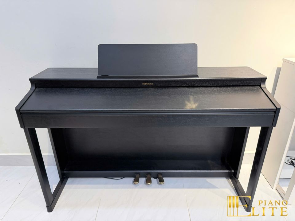 ROLAND RP-701 CB (USED)