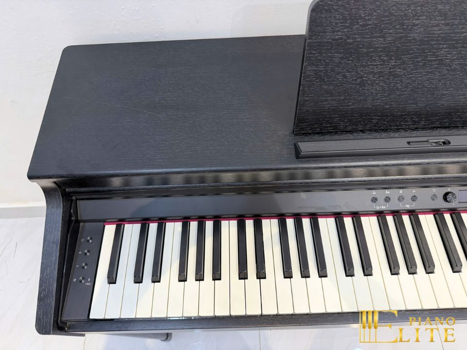 ROLAND RP-701 CB (USED)
