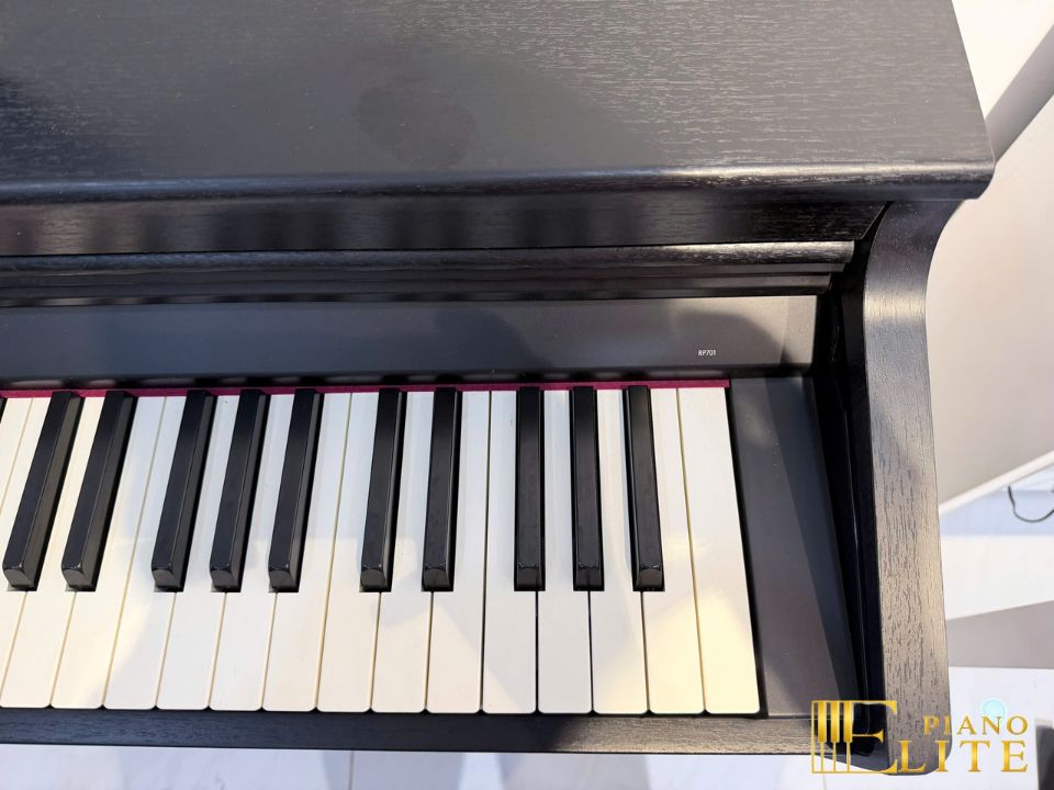 ROLAND RP-701 CB (USED)