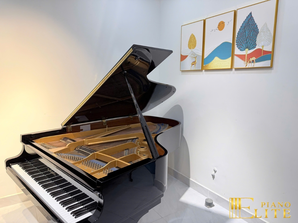 KAWAI KG-5C