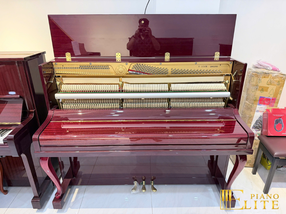 Vierge V-116M