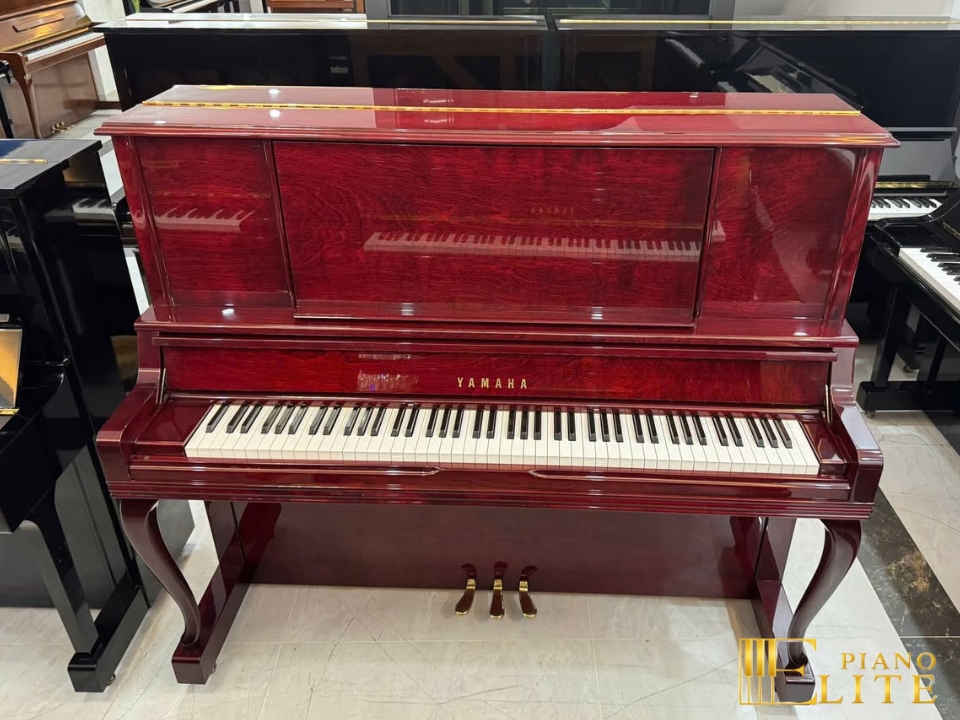 YAMAHA UX300 BiC